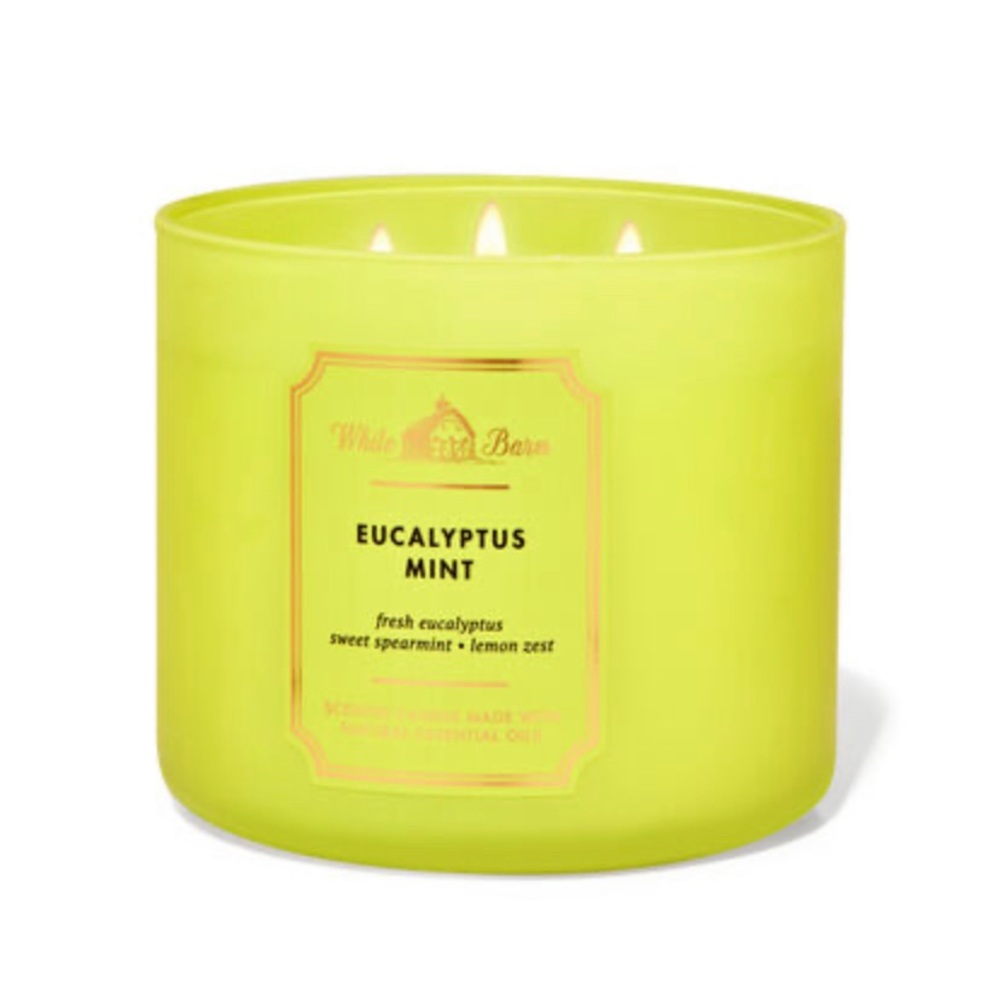 Bath and Body Works Eucalyptus Mint 3 Wick Candle
